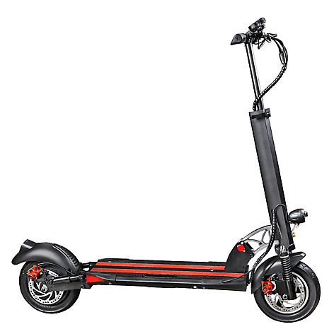 Scooter Elctrico Adulto 350W