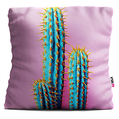 Cojin Ilustracin Cactus