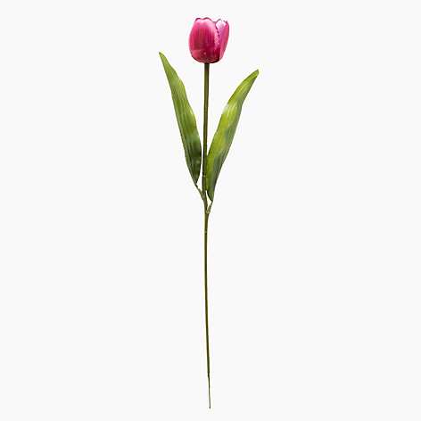Tulipan Rosado 55cm