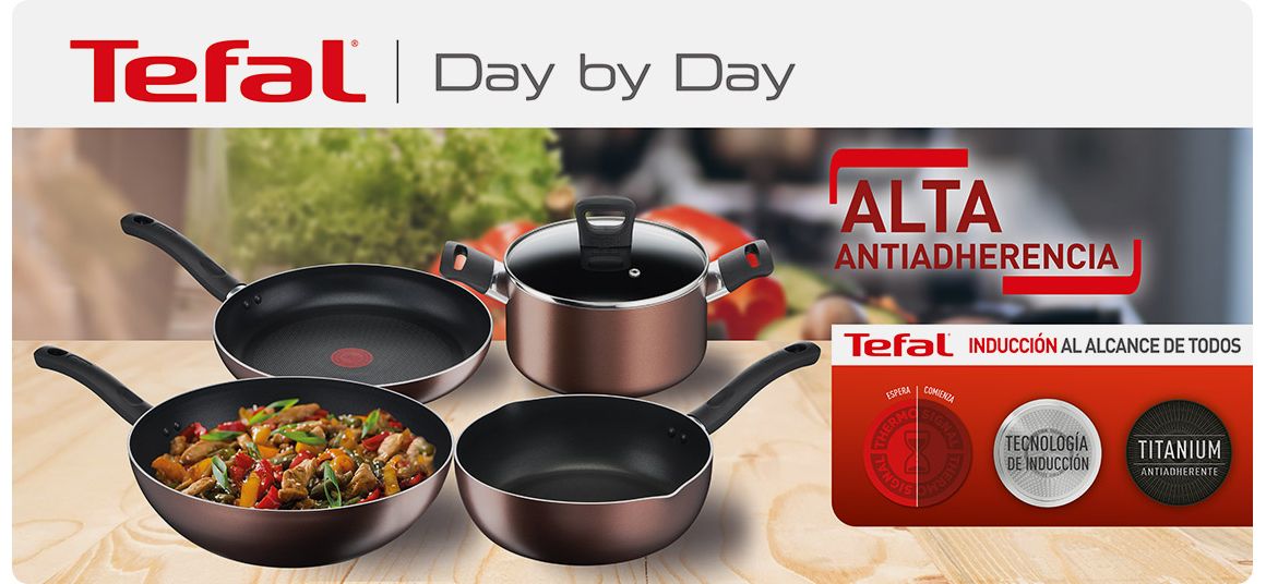SARTEN TEFAL DAY BY DAY 24