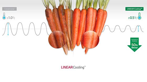 Zanahorias muestran la variación de temperatura usando el sistema Linear Cooling