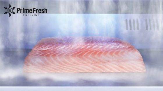 Conserva la carne y el pescado fresco más tiempo