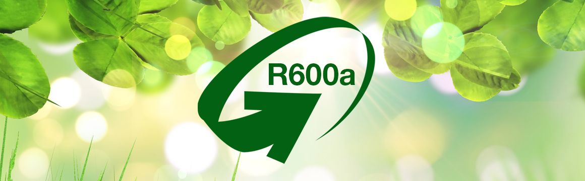 gas ecológico R600a