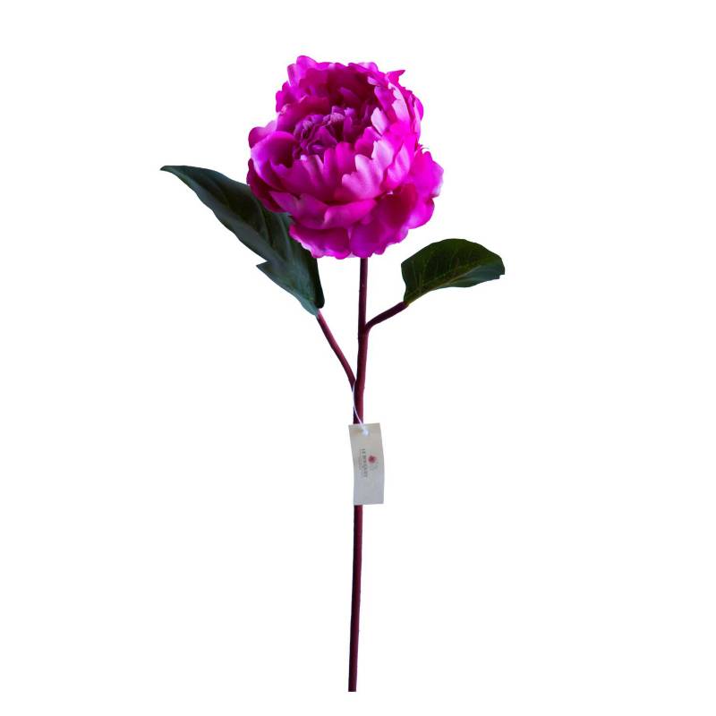 LE BOUQUET Peonia Fucsia 