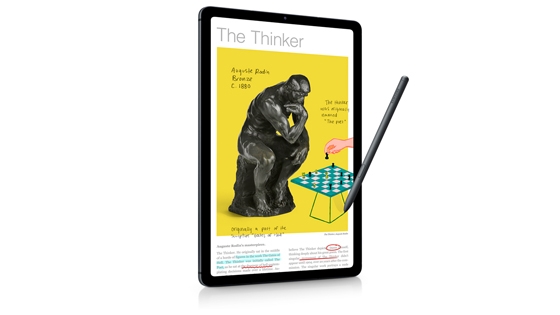 Galaxy Tab S6 Lite + Book Cover (10.4