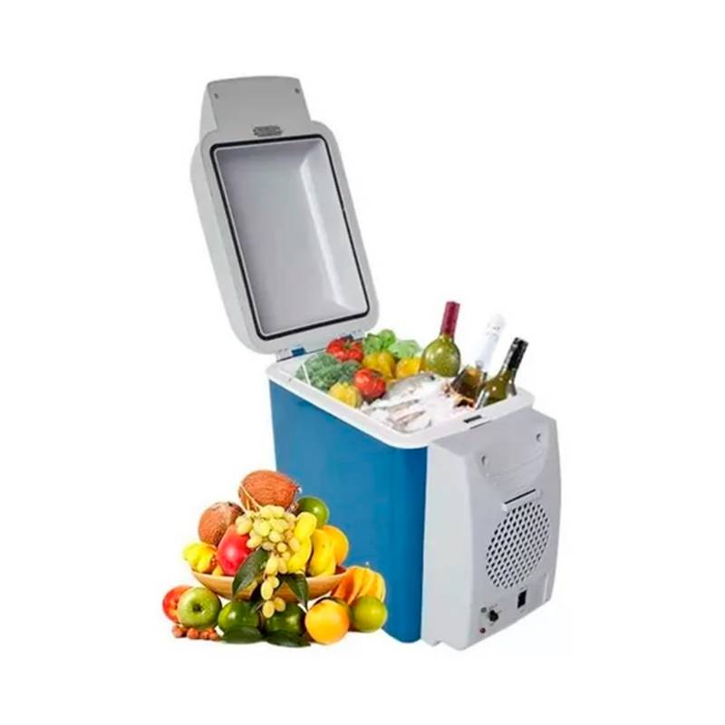 1pc Refrigerador Coche Mini Nevera Portátil Hogar Dormitorio - Temu Chile