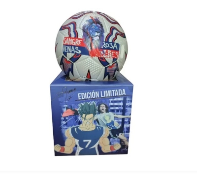 Rebotador de balones de fútbol – Idef Chile
