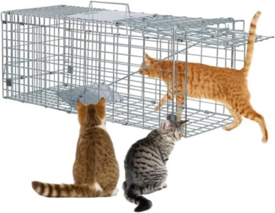 jaula-de-captura-para-gatos
