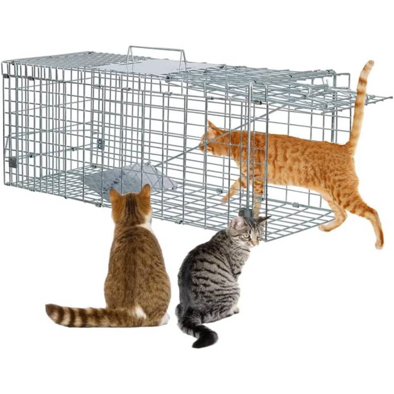 Denuncian la existencia de jaulas trampa para gatos en la