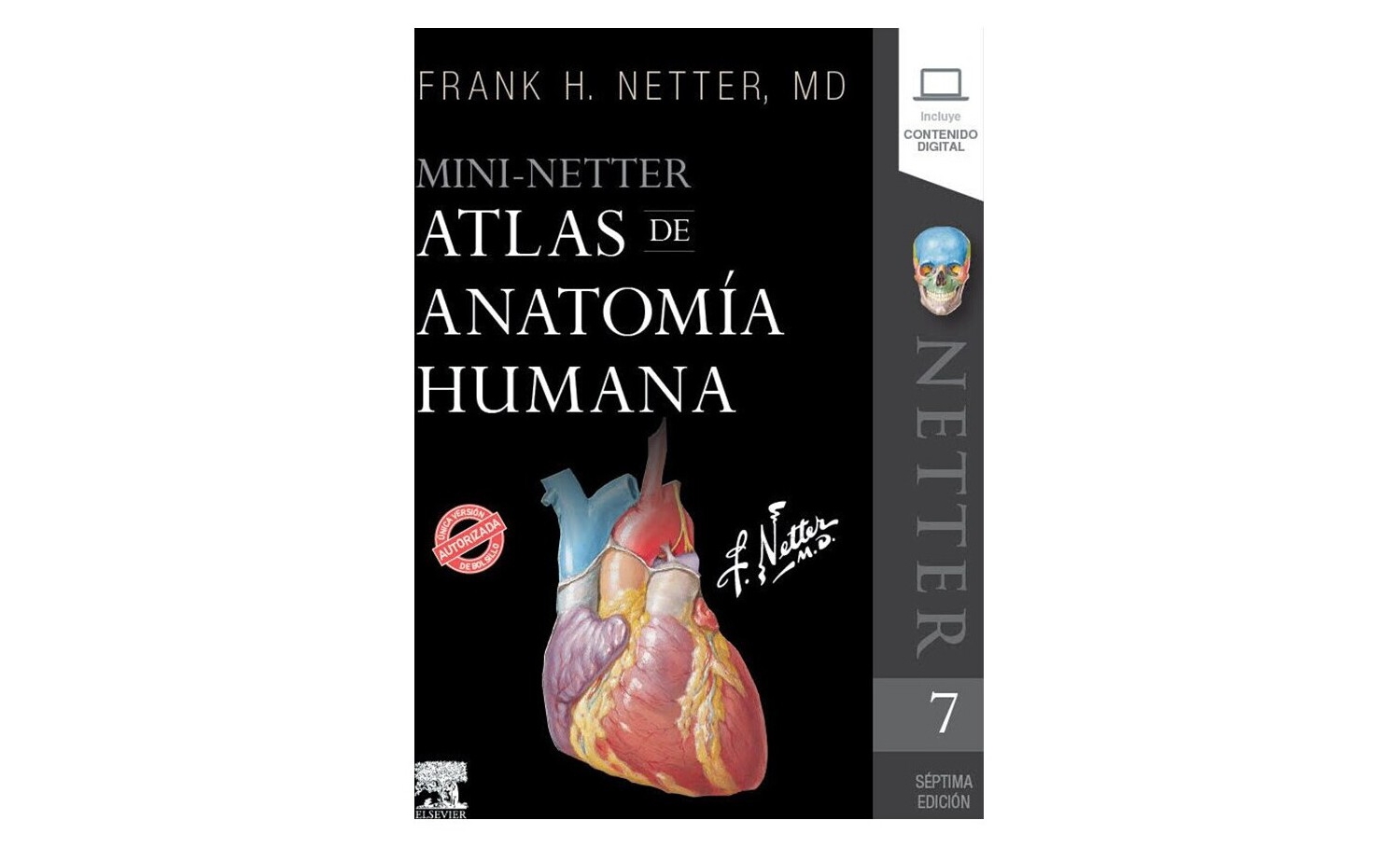 Featured image of post Atlas De Anatomia Netter 2 Edicion Savesave atlas human anatomy ciba netter for later