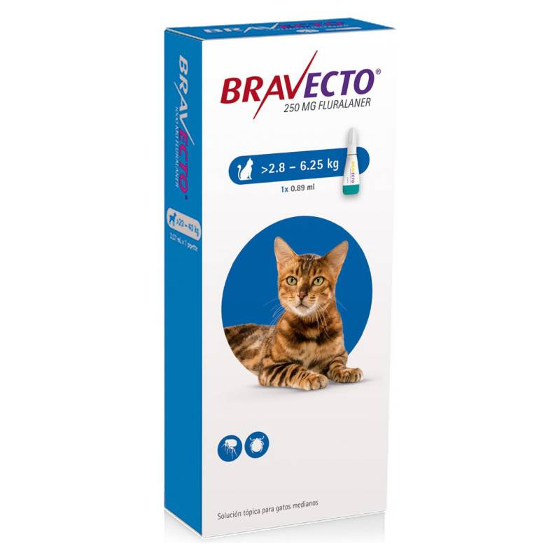 BRAVECTO - Bravecto Gato 2.8 A 6.25Kg