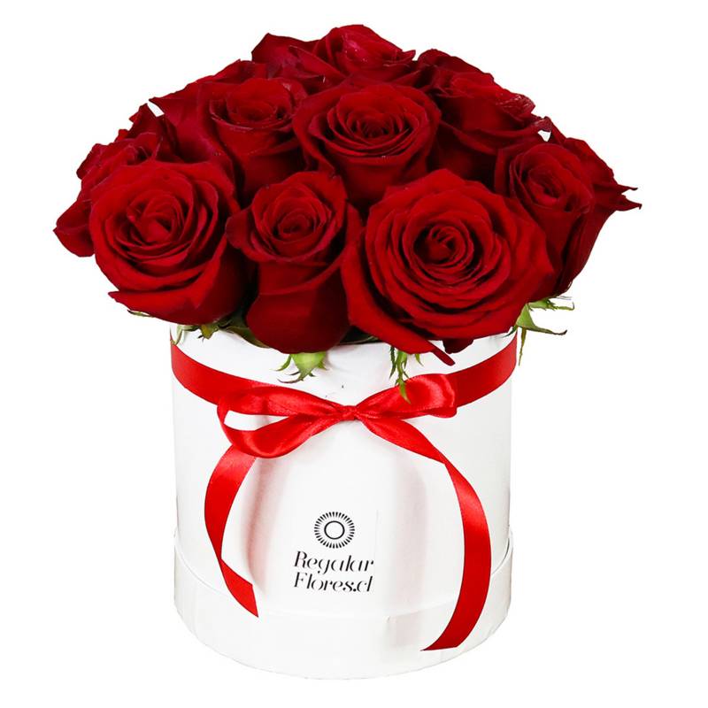 REGALAR FLORES - Caja Blanca Con 16 Rosas Regalar Flores