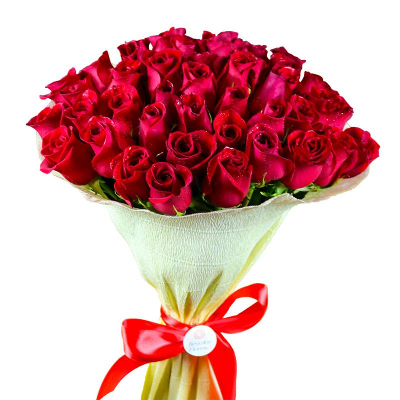 REGALAR FLORES Ramo 50 Rosas 