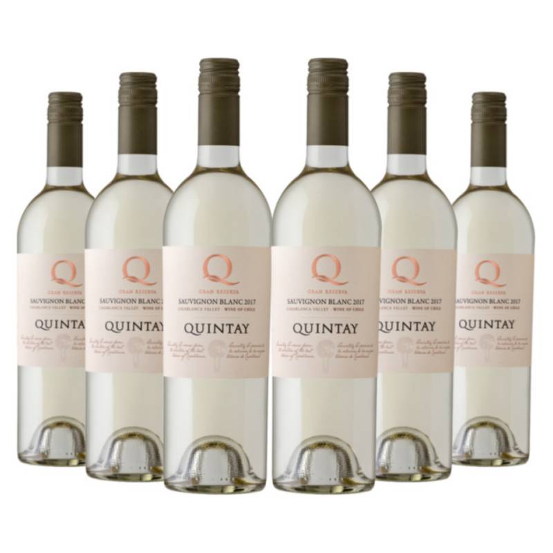 QUINTAY - 6 vinos Quintay Q Sauvignon Blanc