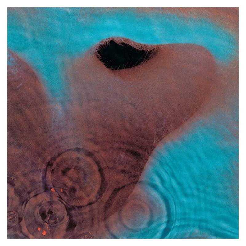 SONY MUSIC ENTERTAINAMENT - Cd Pink Floyd/ Meddle 1Cd