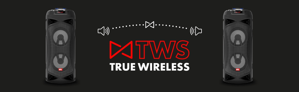 True Wireless