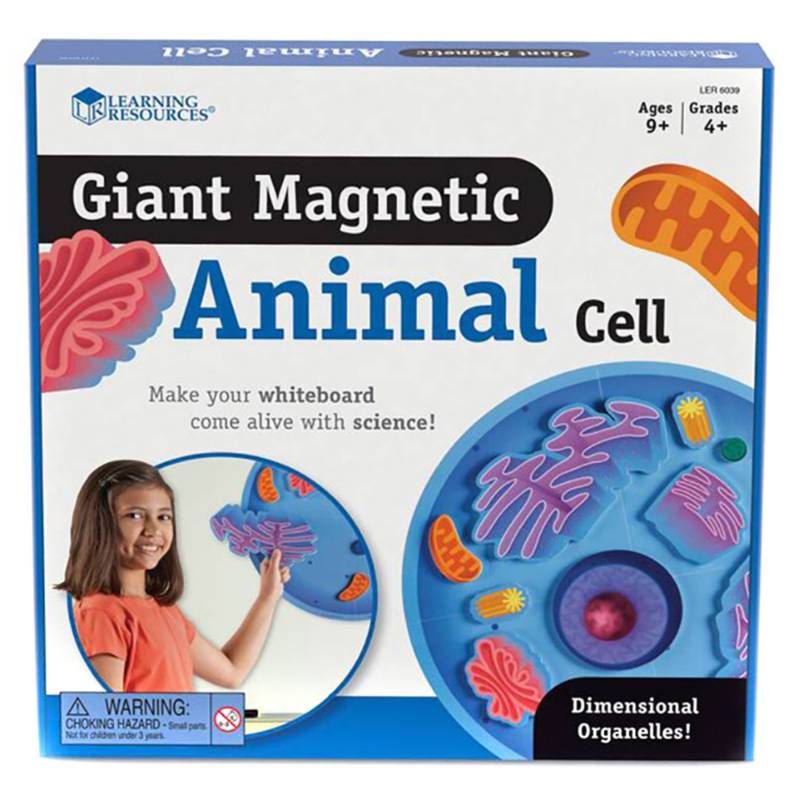 LEARNING RESOURCES - Celula Animal Magnetica