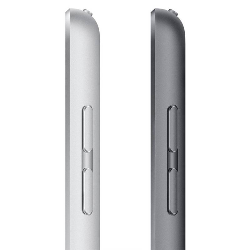APPLE iPad 10.2 9a Generación (Wi-Fi, 64GB) Gris Espacial Apple