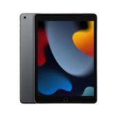 APPLE - Apple iPad 10,2" (Wi-Fi, 256GB) - gris espacial - 9a Generación