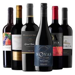 CORDILLERA - 6 Vinos Mix Gran Reserva Tintos