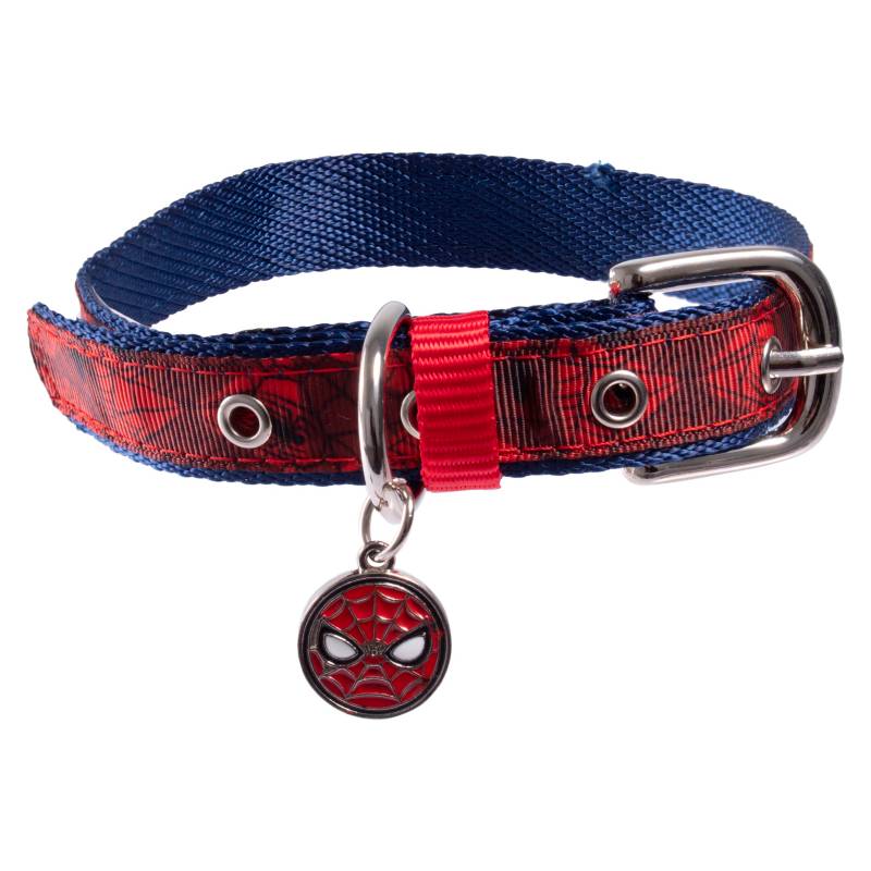 TBC - Collar Spiderman Azul Marvel Tbc