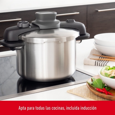 Olla A Presión T-fal Compact Easy P3530733 De 6 L