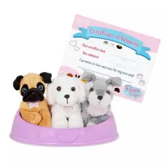 PUCCI PUPS - Adopta 3 Perros - Pug Maltés Y Sch Pucci Pups