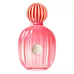BANDERAS - Perfume Mujer Banderas The Icon Splendid Edp 100Ml