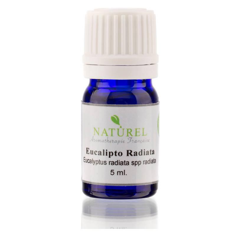 NATUREL - Aceite Esencial Hebbd Eucalipto Radiata