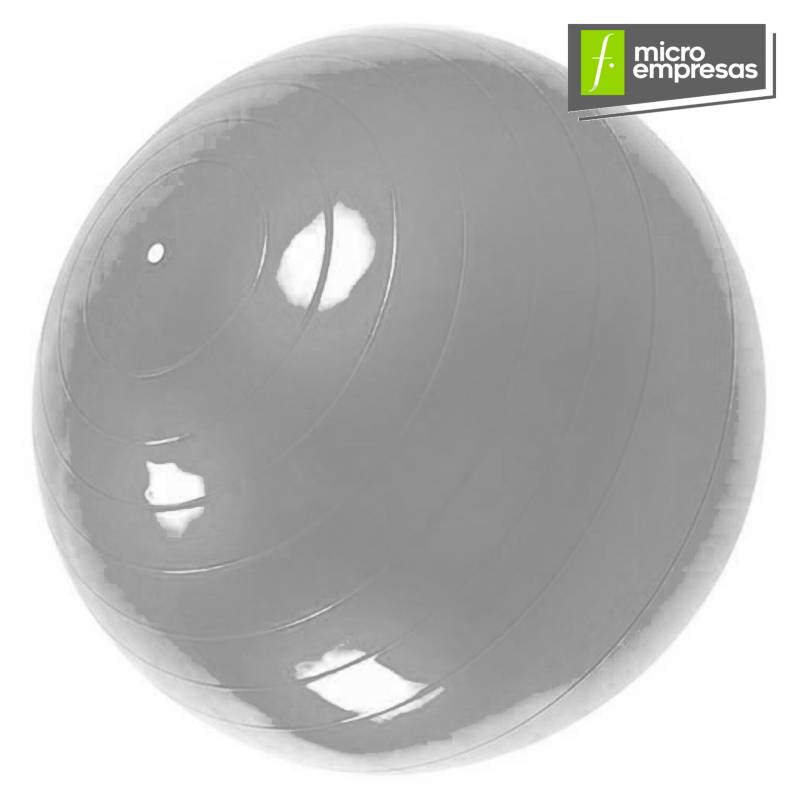 Generico - Pelota Balón 65 Cm + Inflador Yoga Pilates Gris