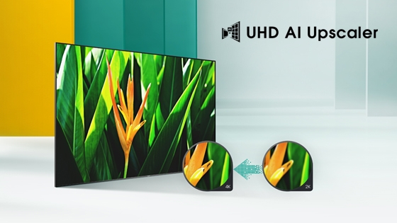 Hisense TV  H6 UHD Upscaler