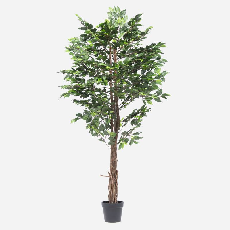 MICA - Planta Artificial Ficus 170 Cm