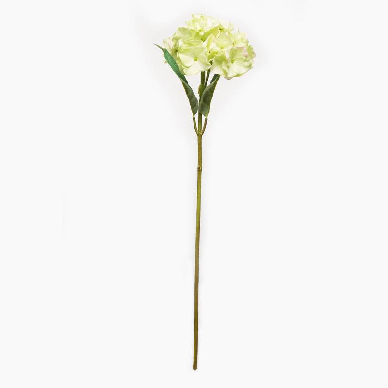 Mica - Flor Hydrangea Verde