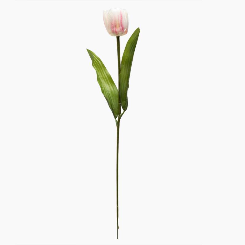 Mica - Tulipan Blanco 55 Cm