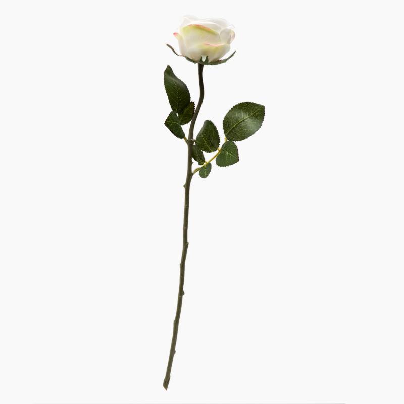 MICA - Rosa Blanca 55cm