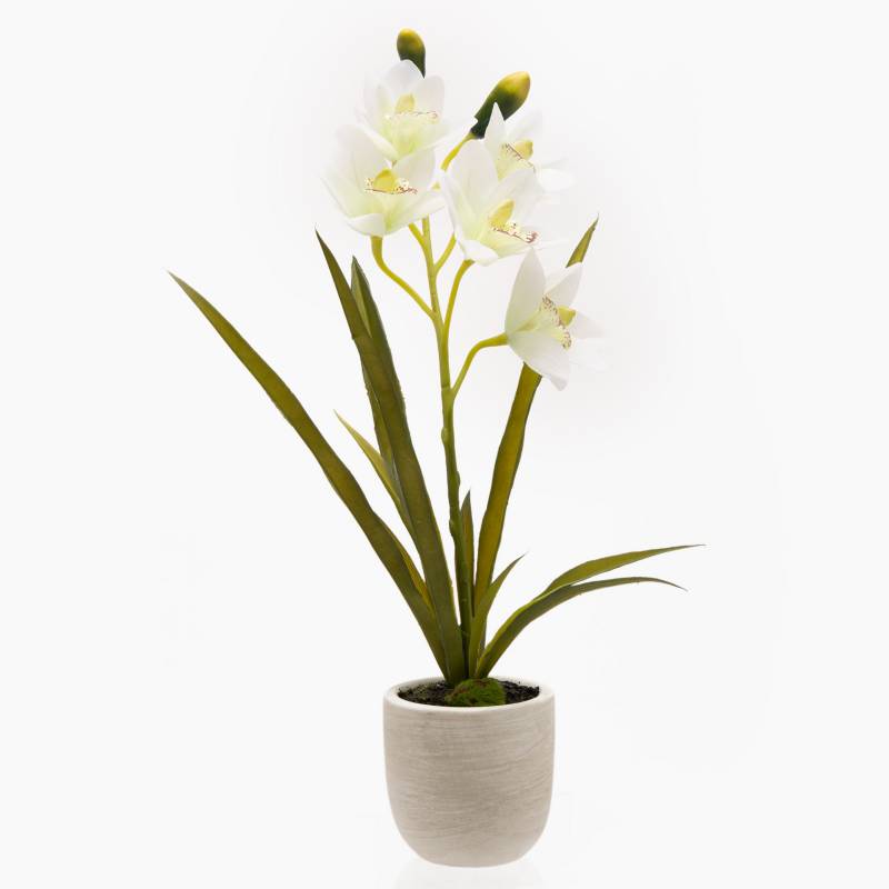 MICA - Plantas Orquídea Blanca 56 Cm Mica