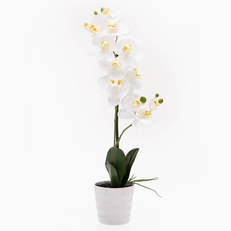 MICA - Orquídea Blanca 51 Cm Mica