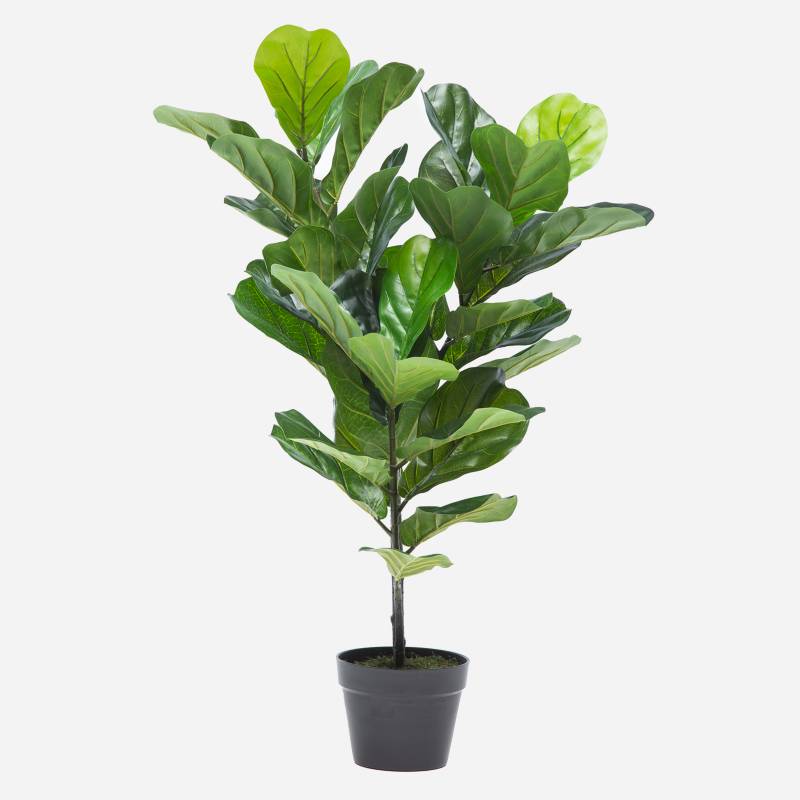MICA - Planta Artificial Ficus Lyrata 90 Cm Mica