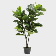 MICA - Planta Artificial Ficus Lyrata 120 Cm