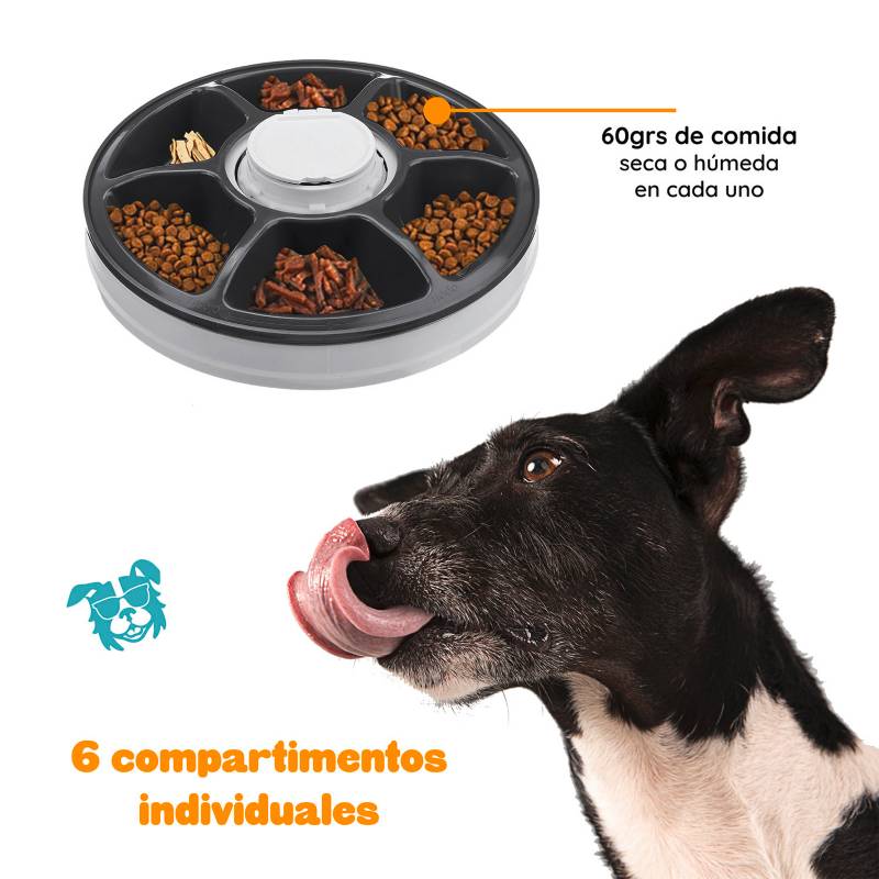 Cámara Con Dispensador de Snacks para Mascotas KULCAN