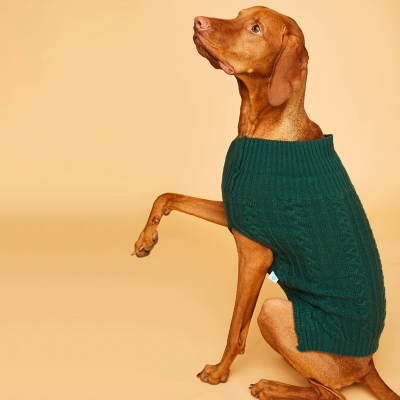 Sweater Perro Mediano Trenzado Talla L 40 cm Kulcan