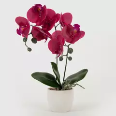 MICA - Planta M Orchid Mica