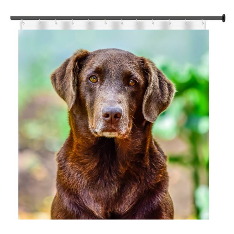 GENERICO - Cortina De Baño Impermeable - Perro Labrador Retriever