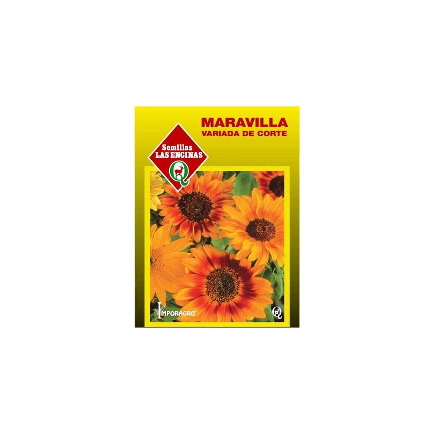 GENERICO Semillas de girasol maravilla de corte 