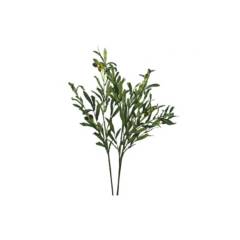 D'HOME - Flores 3 varas ramas de olivo