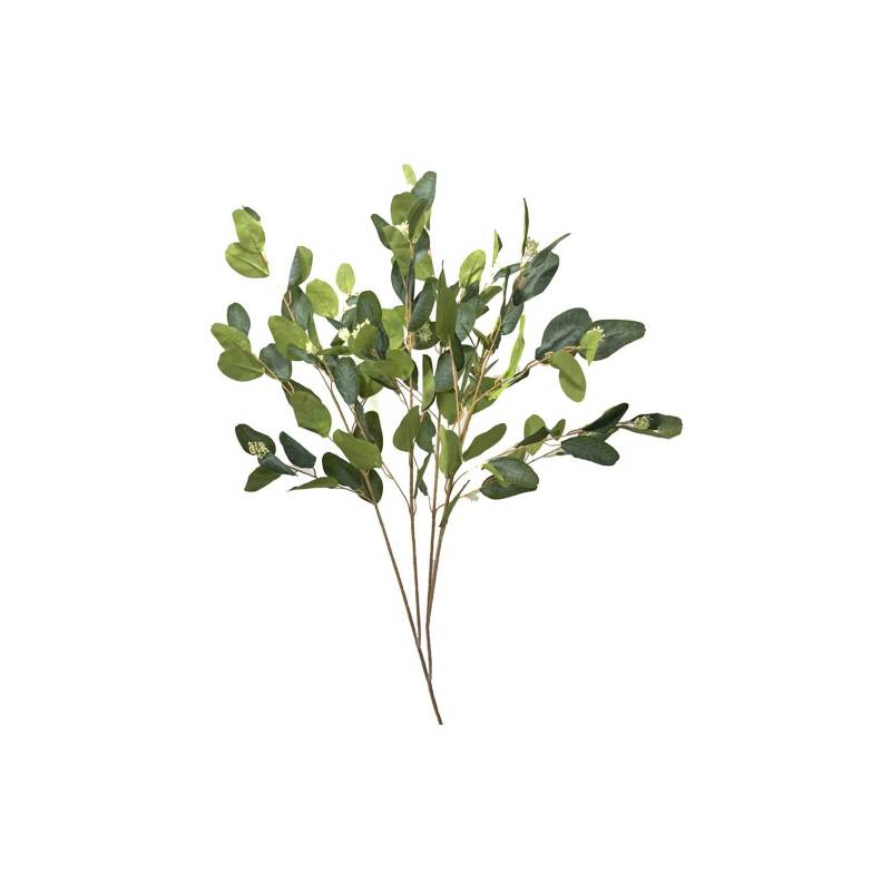 D'HOME - Flores  4 varas eucaliptus verde