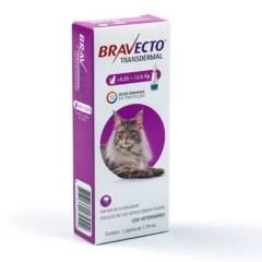 BRAVECTO - Bravecto Antiparasitario Gato 6.25 a 12.5Kg, 3 Meses