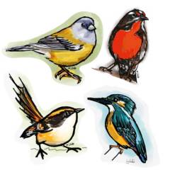 PROYECTO ENSAMBLE - Sticker Pack Proyecto Ensamble Pájaros del Bosque