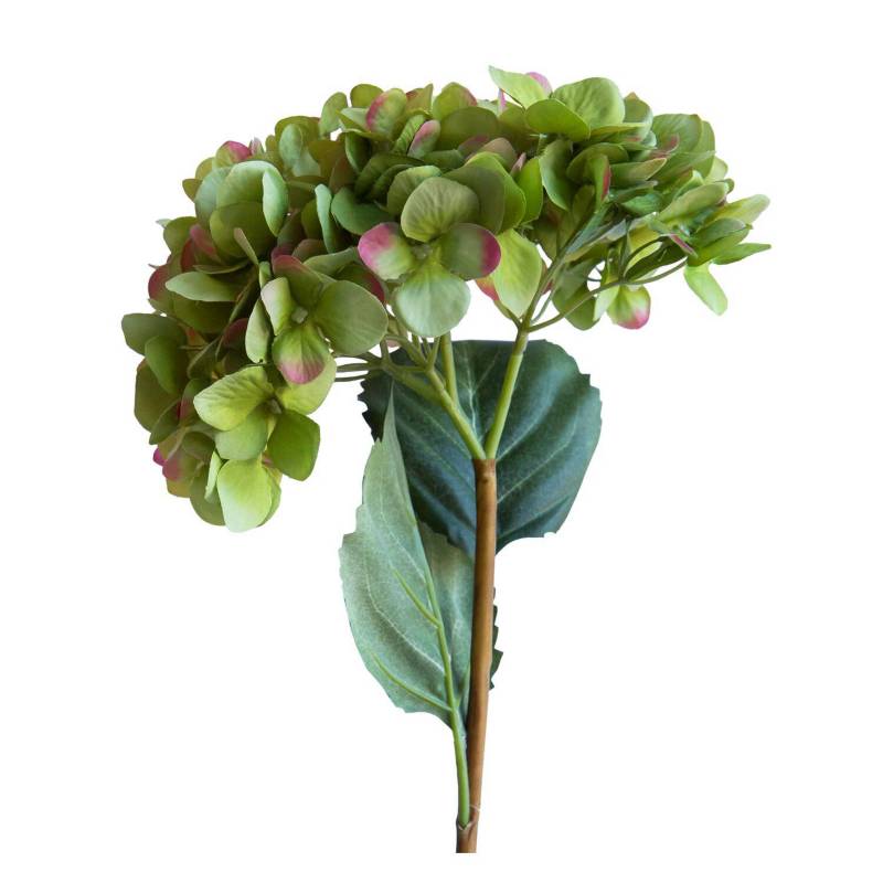LE BOUQUET Hortensia Verde/Rosado Flor Seda Artificial 66 Cm 