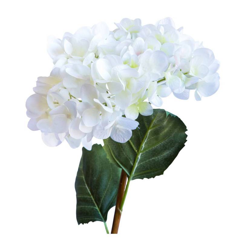 LE BOUQUET Hortensia Blanca Flor Seda Artificial 66 Cm 